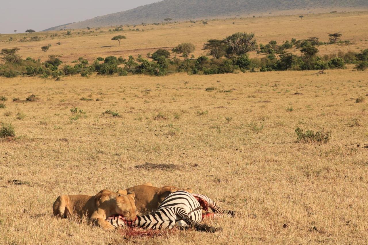 Хостел White House Of Tanzania Аруша Экстерьер фото